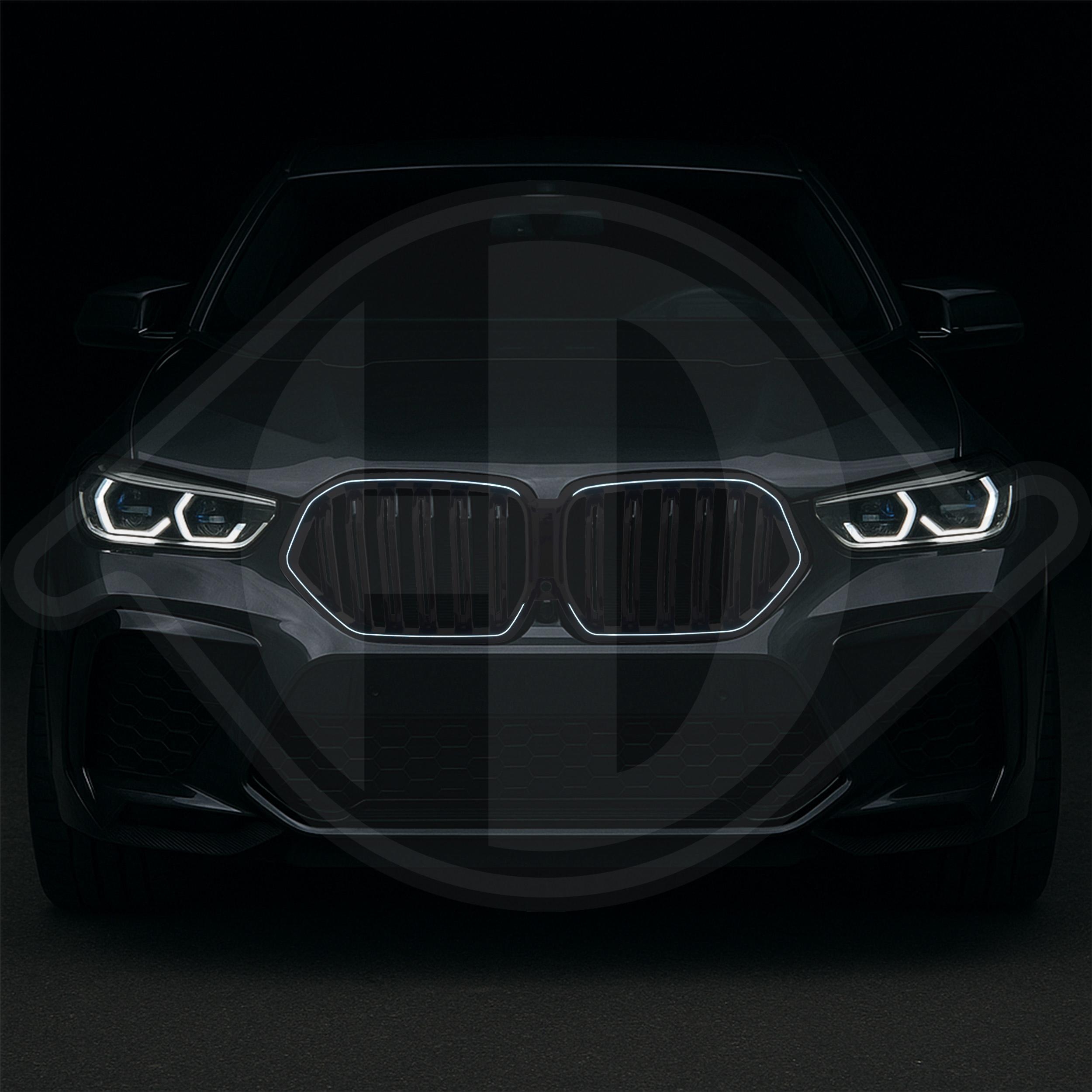 DIEDERICHS Radiator Grille HD Tuning