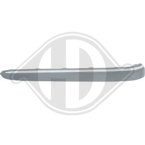 DIEDERICHS Trim/Protection Strip, bumper