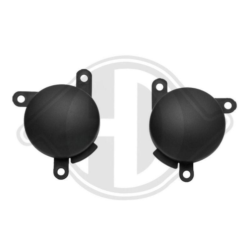 DIEDERICHS Muhafaza, sis farı