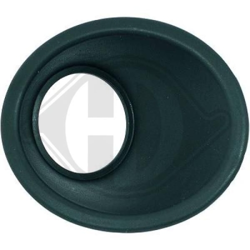 DIEDERICHS Eyelid, front fog light