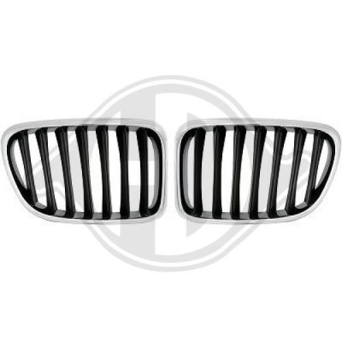 DIEDERICHS Radiateurgrille HD Tuning