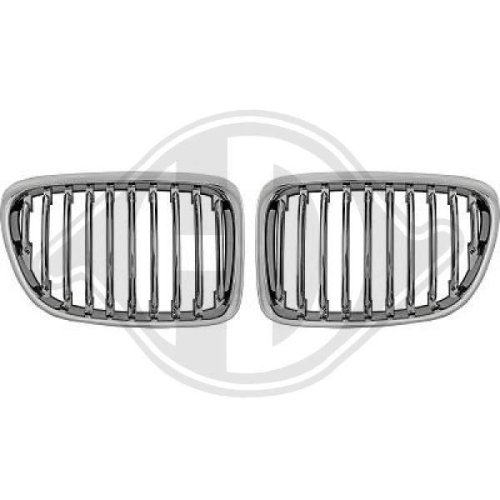 DIEDERICHS Grille de radiateur HD Tuning