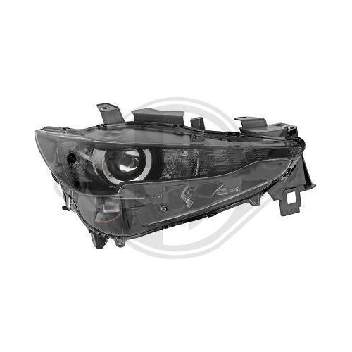 DIEDERICHS Projecteur principal