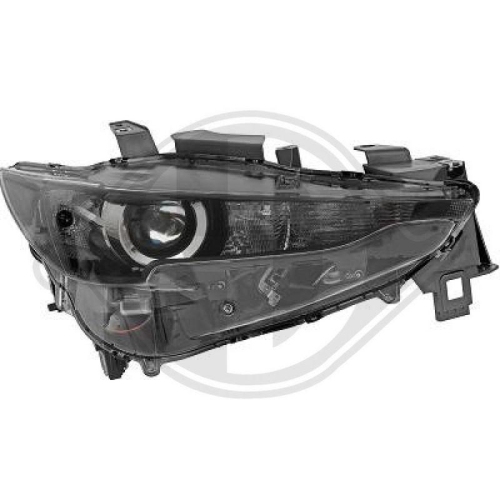 DIEDERICHS Projecteur principal