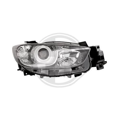 DIEDERICHS Projecteur principal
