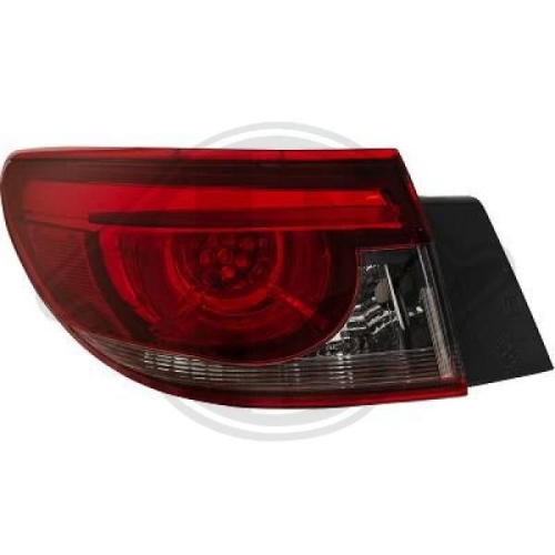 DIEDERICHS Tail Light Assembly