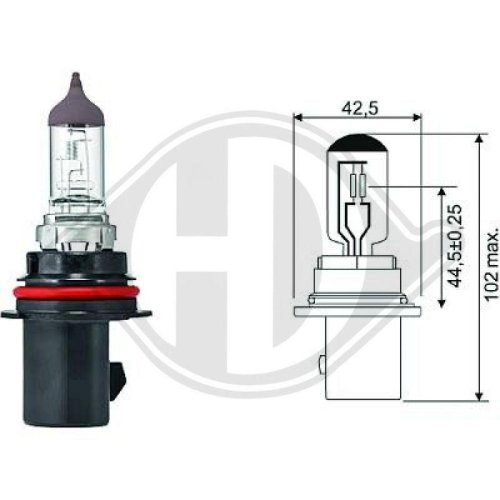 DIEDERICHS Ampoule, projecteur principal