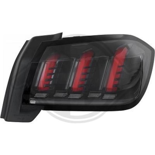 DIEDERICHS Tail Light Assembly