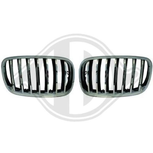 DIEDERICHS Radiateurgrille HD Tuning