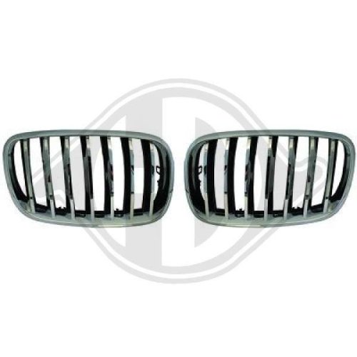 DIEDERICHS Grille de radiateur HD Tuning