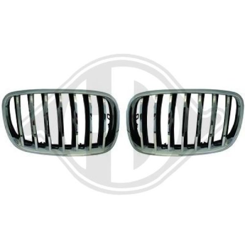 DIEDERICHS Radiateurgrille HD Tuning