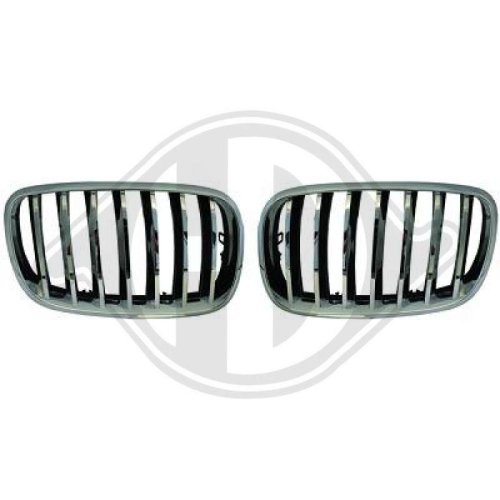 DIEDERICHS Radyatör ızgarası HD Tuning