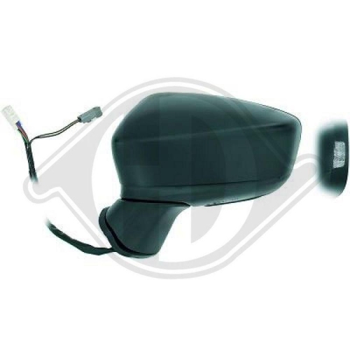 DIEDERICHS Retrovisor exterior