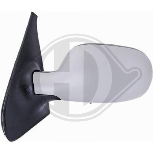 DIEDERICHS Exterior Mirror