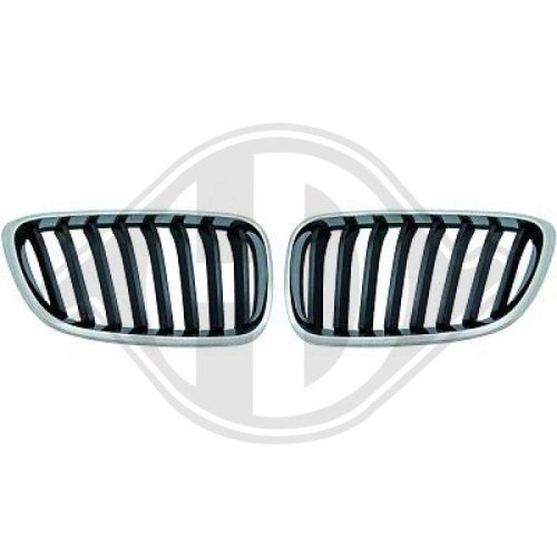 DIEDERICHS Elément insertable, grille de radiateur HD Tuning