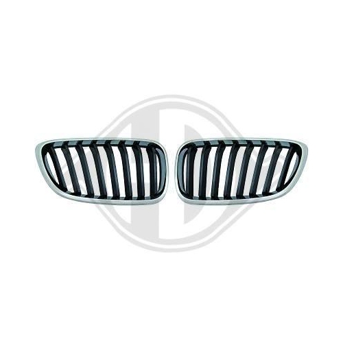 DIEDERICHS Inserto griglia radiatore HD Tuning