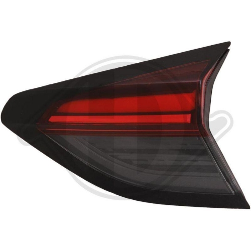 DIEDERICHS Luce posteriore