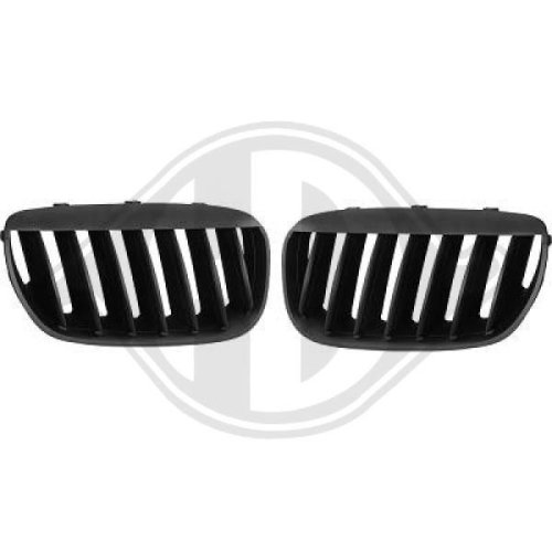 DIEDERICHS Radiator Grille HD Tuning