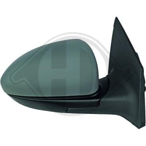 DIEDERICHS Exterior Mirror