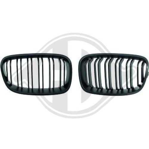 DIEDERICHS Radiateurgrille HD Tuning