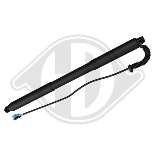 DIEDERICHS V&eacute;rin de hayon, de coffre