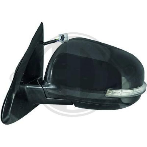 DIEDERICHS Exterior Mirror