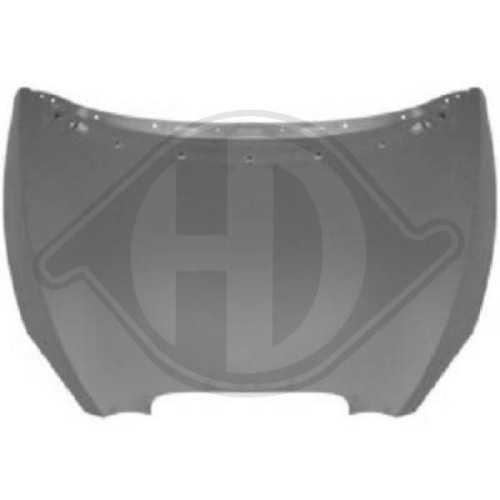 DIEDERICHS Motorhaube