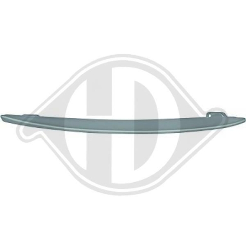 DIEDERICHS Trim/Protection Strip, bumper