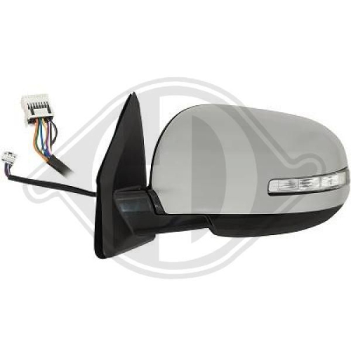 DIEDERICHS Exterior Mirror