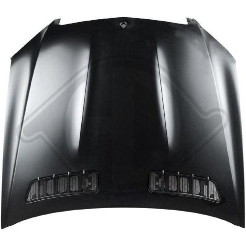 DIEDERICHS Motor kaputu HD Tuning