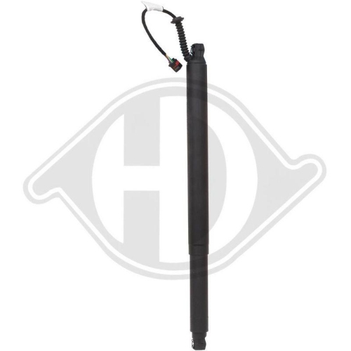 DIEDERICHS Электромотор, задняя дверь