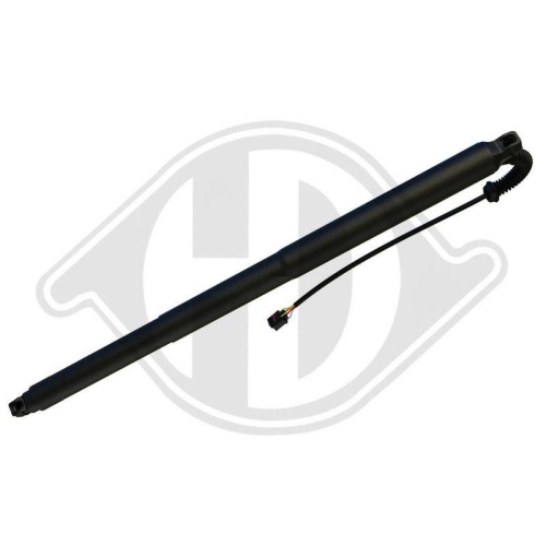 DIEDERICHS Motor el&eacute;ctrico, port&oacute;n trasero