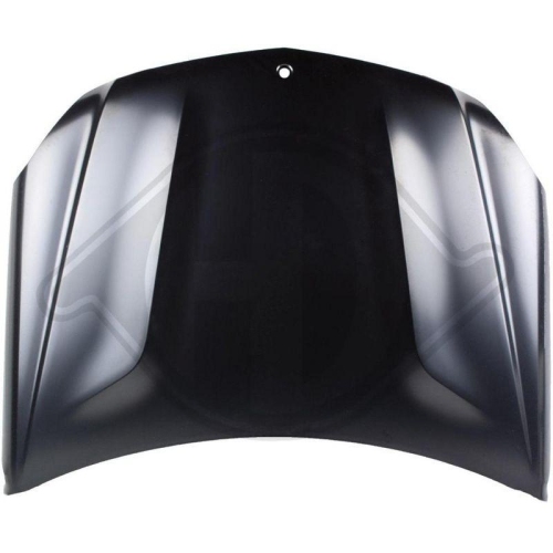 DIEDERICHS Motorhaube HD Tuning