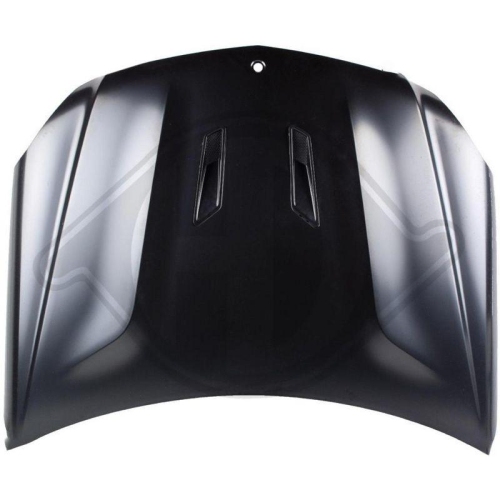 DIEDERICHS Cap&oacute; del motor HD Tuning