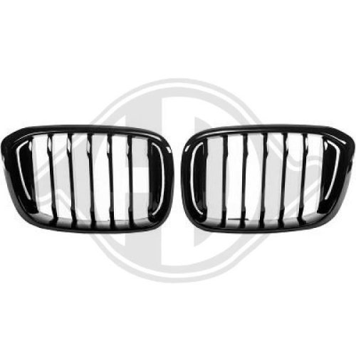 DIEDERICHS Radiateurgrille HD Tuning