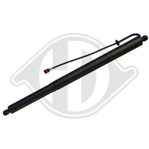 DIEDERICHS Motor el&eacute;ctrico, port&oacute;n trasero