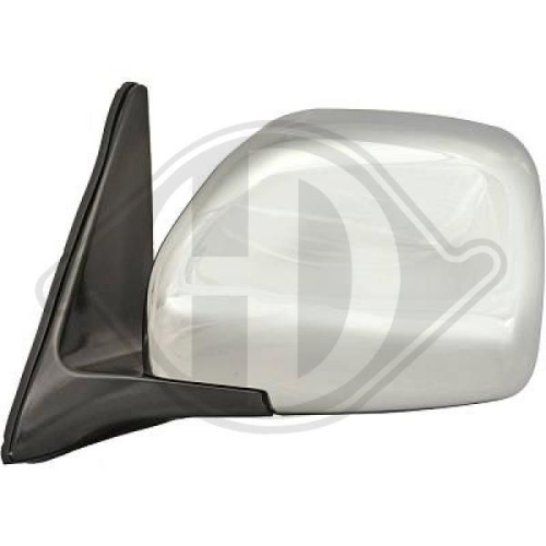 DIEDERICHS Exterior Mirror