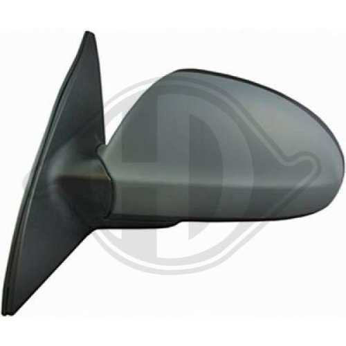 DIEDERICHS Exterior Mirror