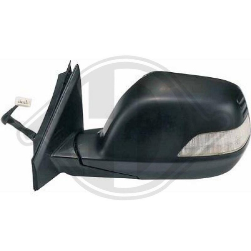 DIEDERICHS Retrovisor exterior