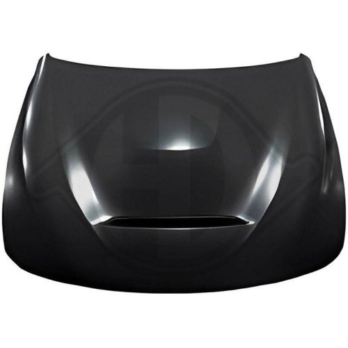 DIEDERICHS Koplamp