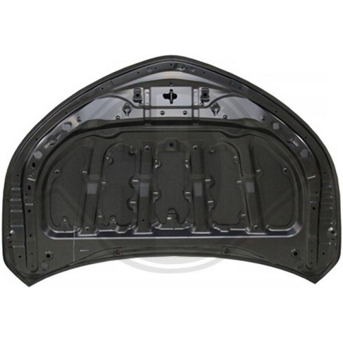 DIEDERICHS Motorhaube