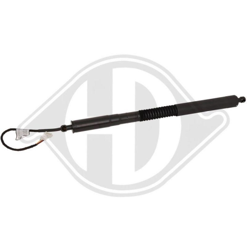 DIEDERICHS Chapa protectora contra salpicaduras, disco de freno