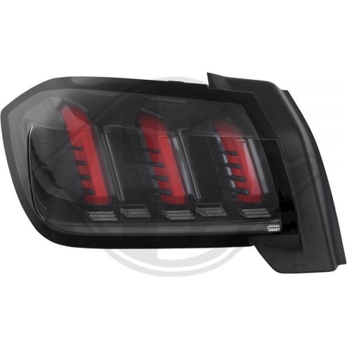 DIEDERICHS Retrovisor exterior