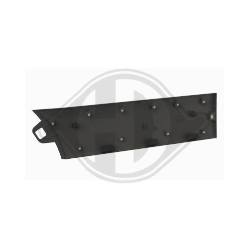 DIEDERICHS Friso, porta