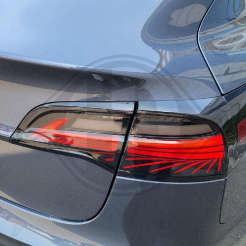 DIEDERICHS Juego luz trasera HD Tuning