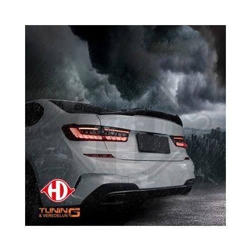 DIEDERICHS Jogo de farolins traseiros HD Tuning