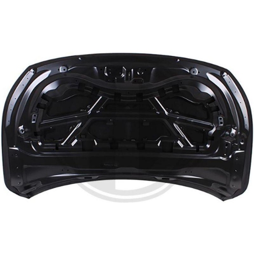 DIEDERICHS Motorhaube