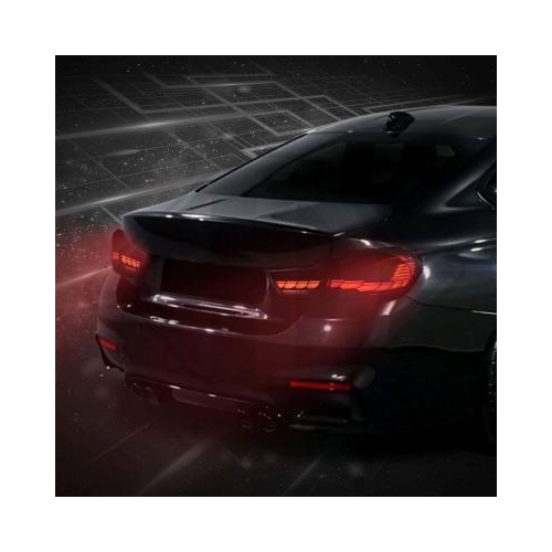 DIEDERICHS Achterlichtenset HD Tuning
