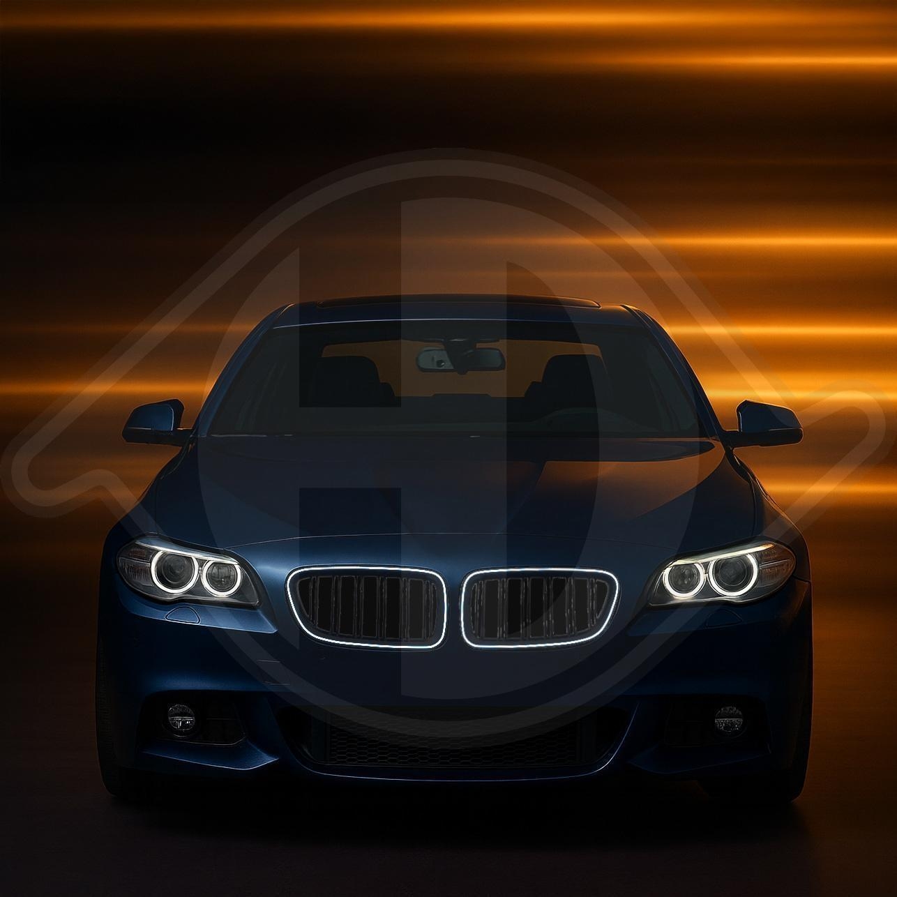 DIEDERICHS Kratka chłodnicy HD Tuning