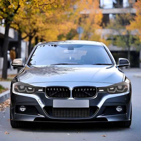 DIEDERICHS Jogo de faróis principais HD Tuning